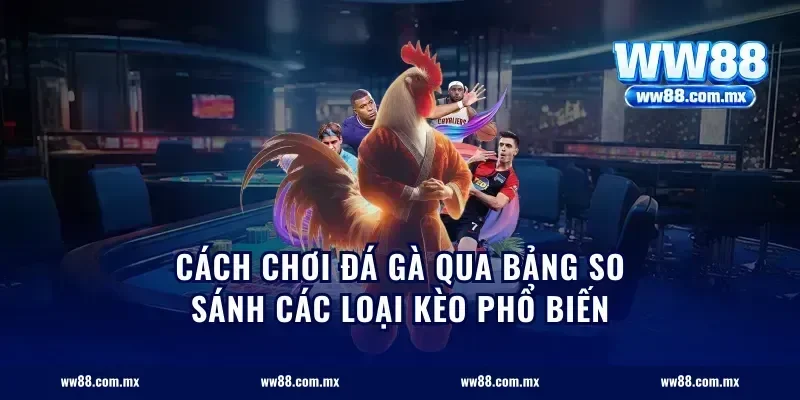 Cách Chơi Đá Gà Qua Bảng So Sánh Các Loại Kèo Phổ Biến