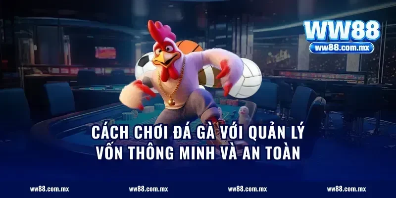 Cách Chơi Đá Gà Với Quản Lý Vốn Thông Minh Và An Toàn