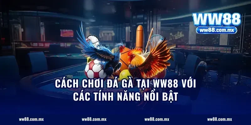 Cách Chơi Đá Gà Tại ww88 Với Các Tính Năng Nổi Bật