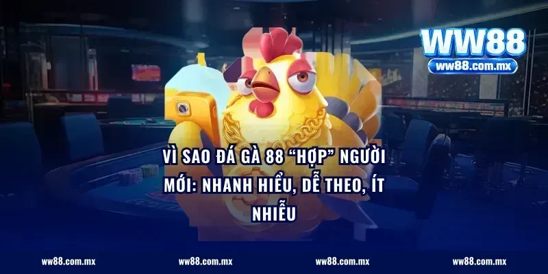 Vì sao đá gà 88 “hợp” người mới: nhanh hiểu, dễ theo, ít nhiễu