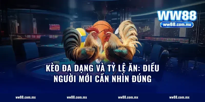 Kèo đa dạng và tỷ lệ ăn: điều người mới cần nhìn đúng