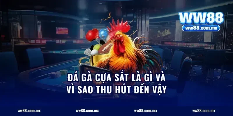 Đá Gà Cựa Sắt Là Gì Và Vì Sao Thu Hút Đến Vậy
