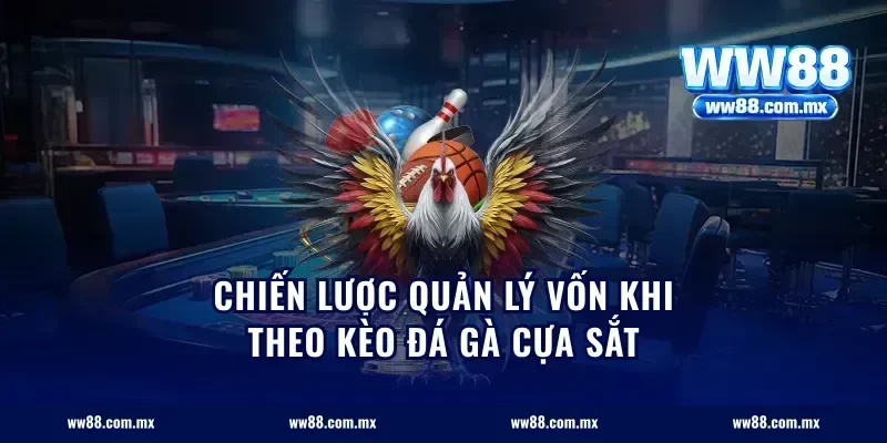 Chiến Lược Quản Lý Vốn Khi Theo Kèo Đá Gà Cựa Sắt