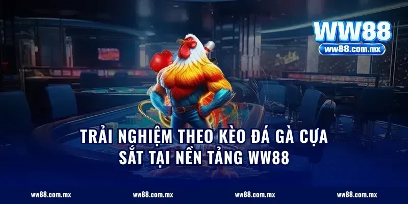 Trải Nghiệm Theo Kèo Đá Gà Cựa Sắt Tại Nền Tảng ww88