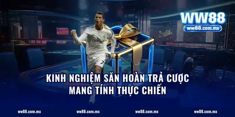 Kinh nghiệm săn hoàn trả cược mang tính thực chiến