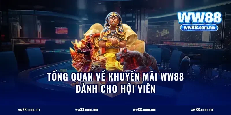 Tổng Quan Về Khuyến Mãi WW88 Dành Cho Hội Viên