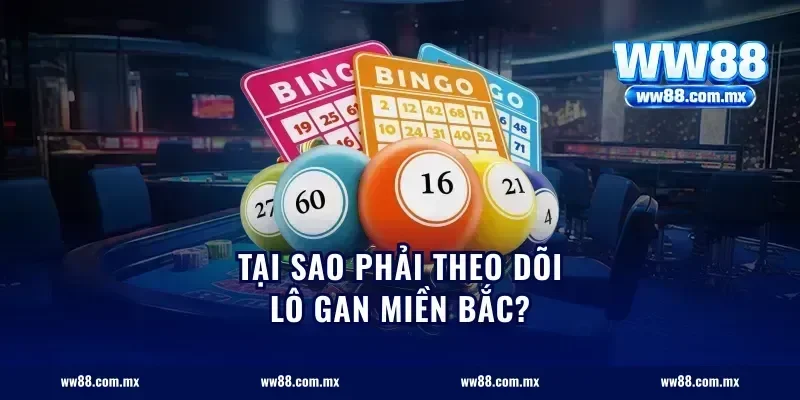 Tại sao phải theo dõi lô gan miền Bắc?