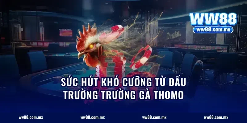 sức hút khó cưỡng từ đấu trường trường gà Thomo