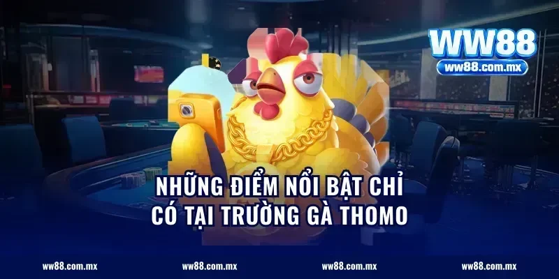 những điểm nổi bật chỉ có tại trường gà Thomo