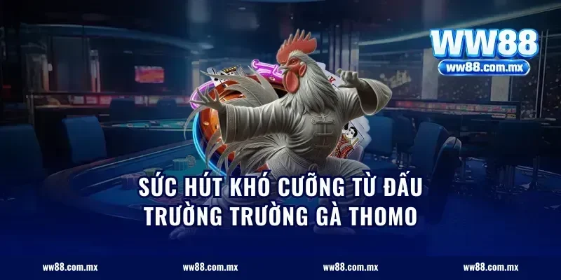 sức hút khó cưỡng từ đấu trường trường gà Thomo