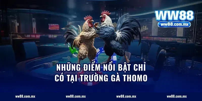 những điểm nổi bật chỉ có tại trường gà Thomo